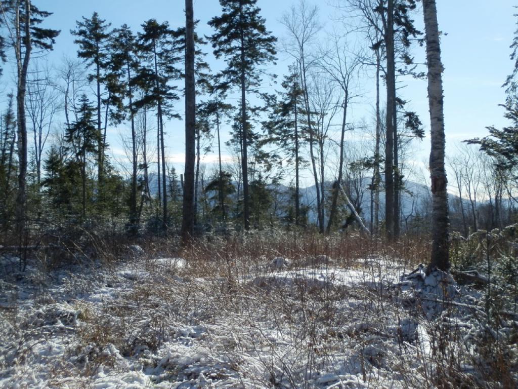 Lot #7 Upper Valley Road Bethlehem, NH 03574 - Photo 22 of 26