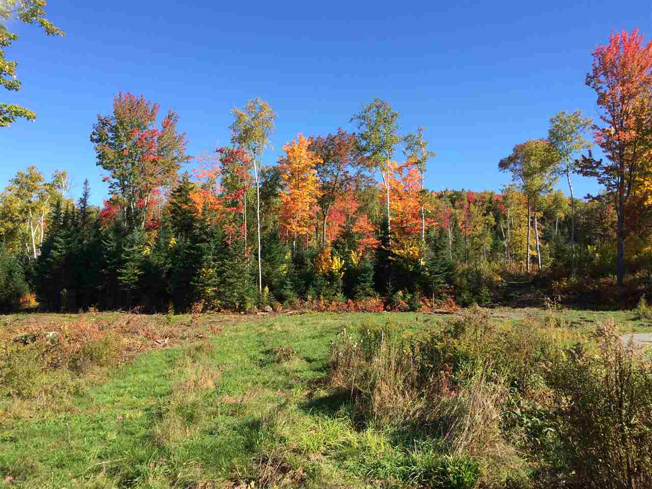 Lot #7 Upper Valley Road Bethlehem, NH 03574 - Photo 4 of 26