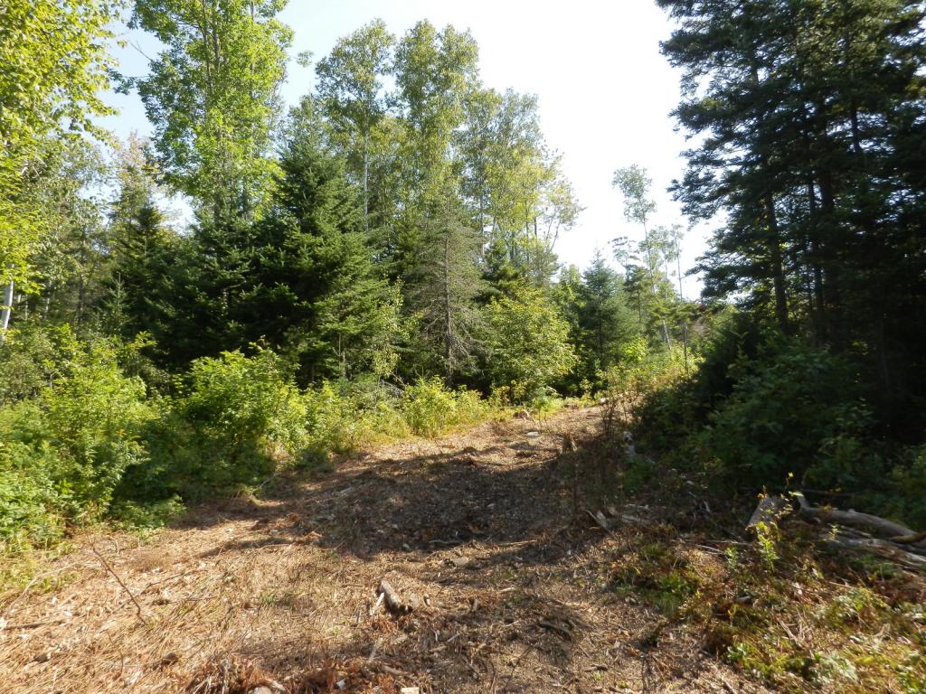 Lot #7 Upper Valley Road Bethlehem, NH 03574 - Photo 5 of 26