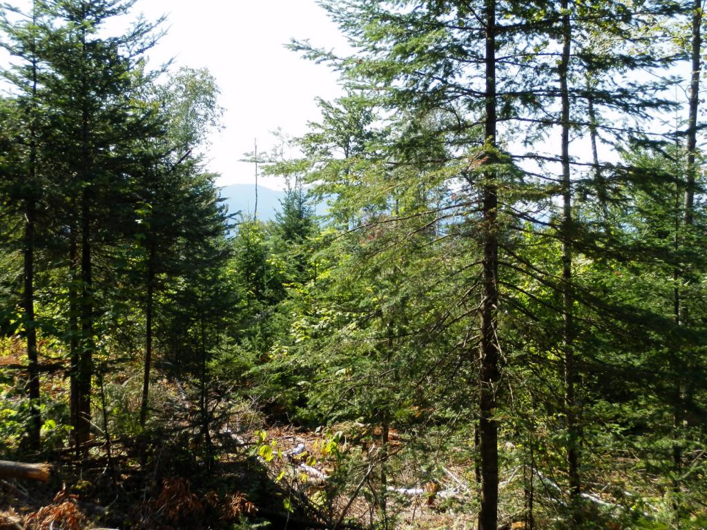 Lot #7 Upper Valley Road Bethlehem, NH 03574 - Photo 6 of 26