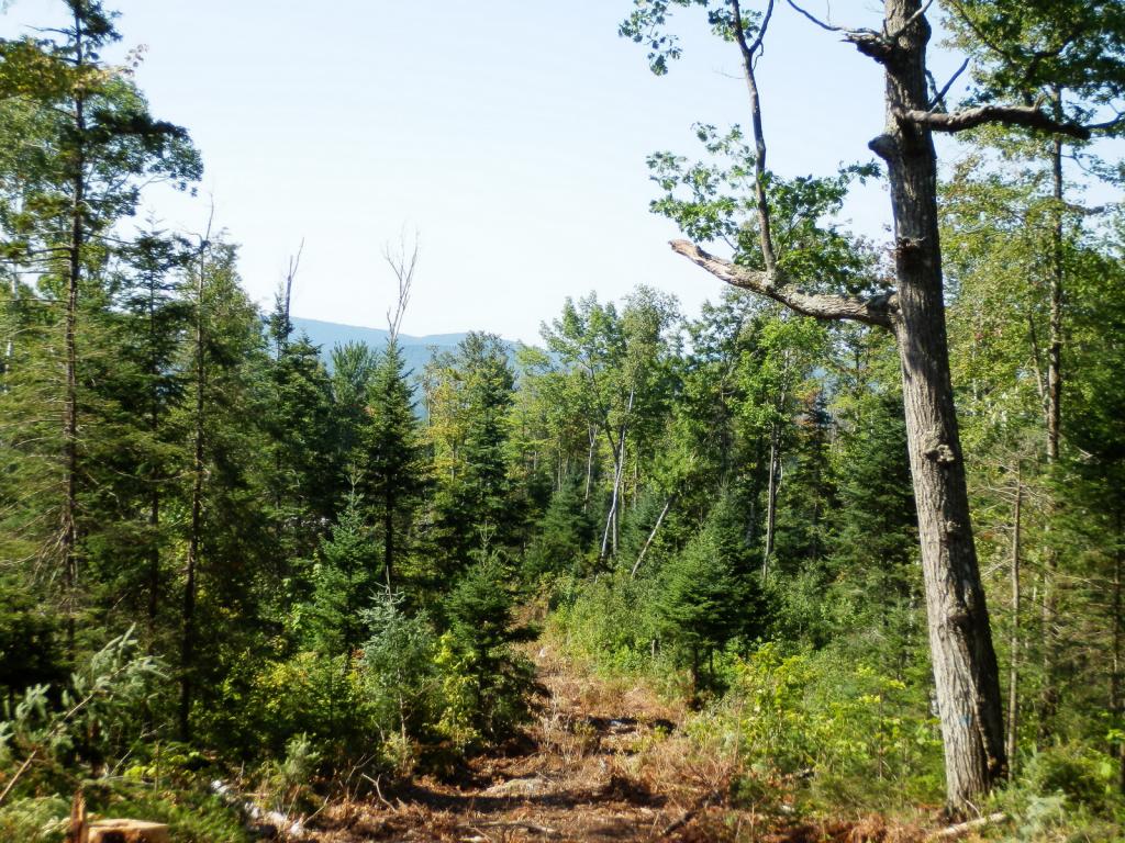 Lot #7 Upper Valley Road Bethlehem, NH 03574 - Photo 7 of 26