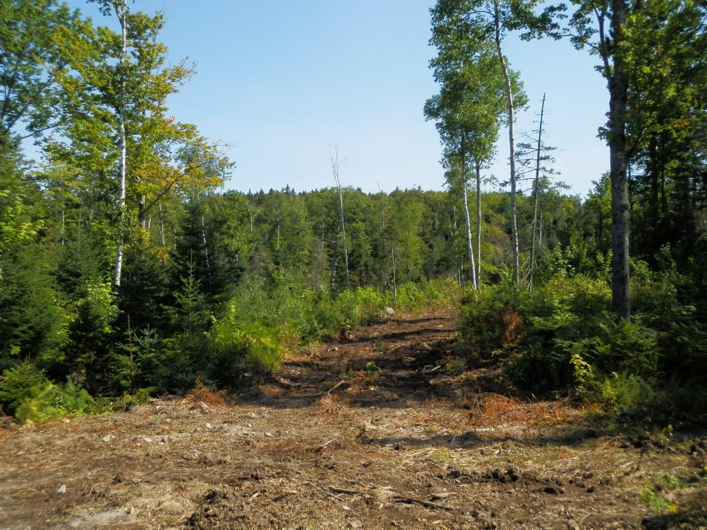 Lot #7 Upper Valley Road Bethlehem, NH 03574 - Photo 9 of 26