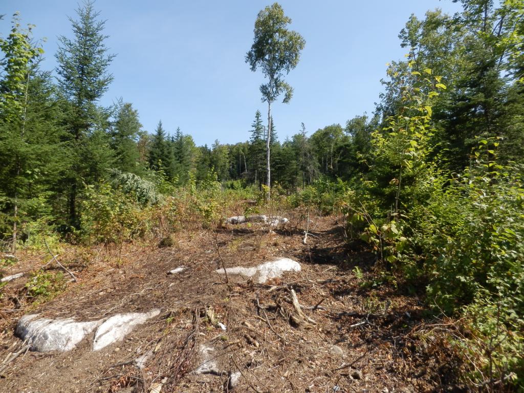 Lot #7 Upper Valley Road Bethlehem, NH 03574 - Photo 10 of 26