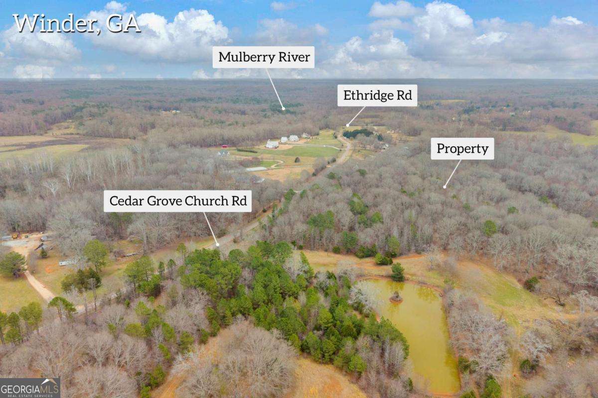 0 Cedar Grove Church Road Winder, GA 30680 - Photo 4 of 5