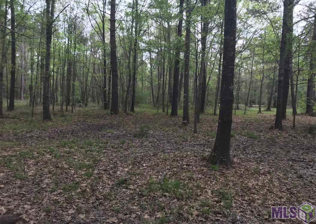 24907 A Lobell Road Livingston, LA 70754 - Photo 1 of 2 Gallery Image 1
