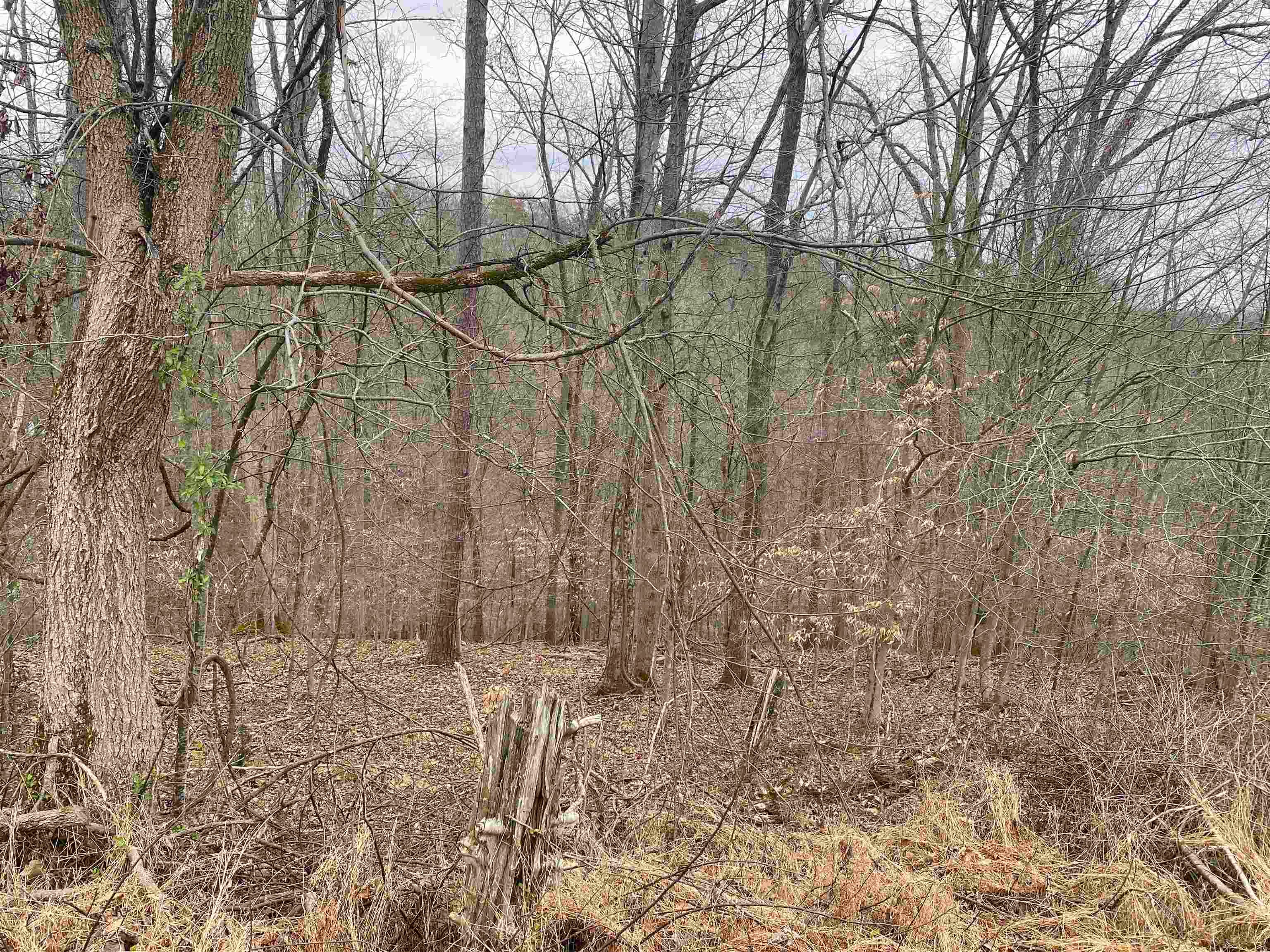 701 Tower Road Hurricane, WV 25526 - Photo 19 of 20 Gallery Image 19
