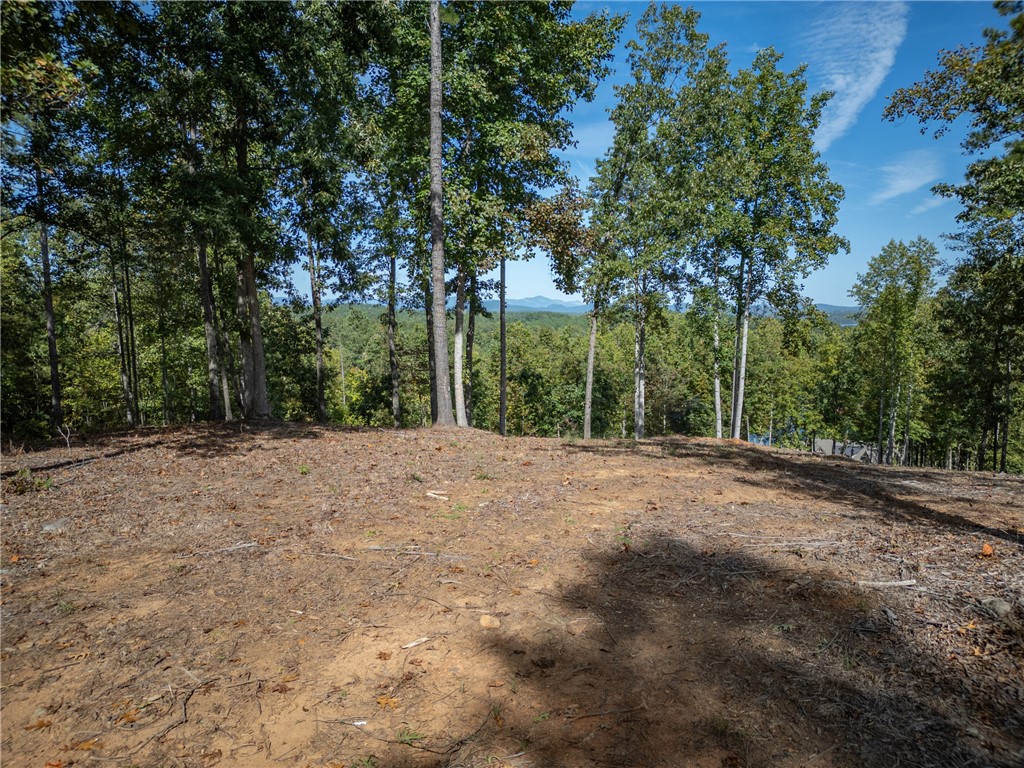 116 Nimmons Bridge Road Salem, SC 29676 - Photo 47 of 49 Additional Mountain View future Homesite