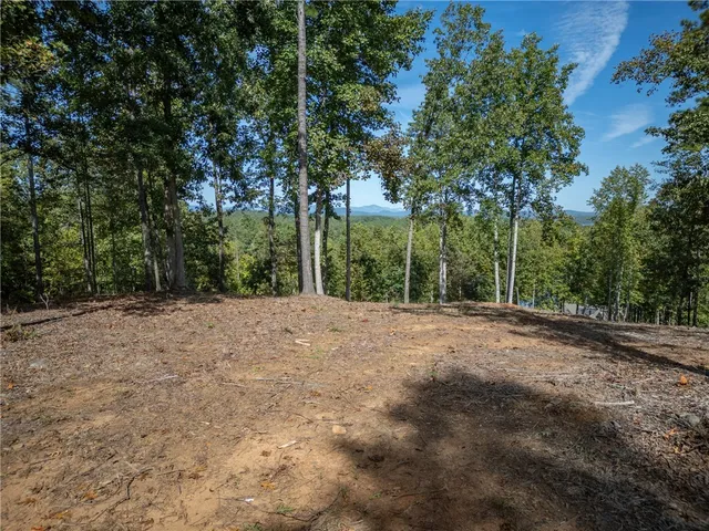 $10,900,000 | 116 Nimmons Bridge Road, Salem, SC 29676