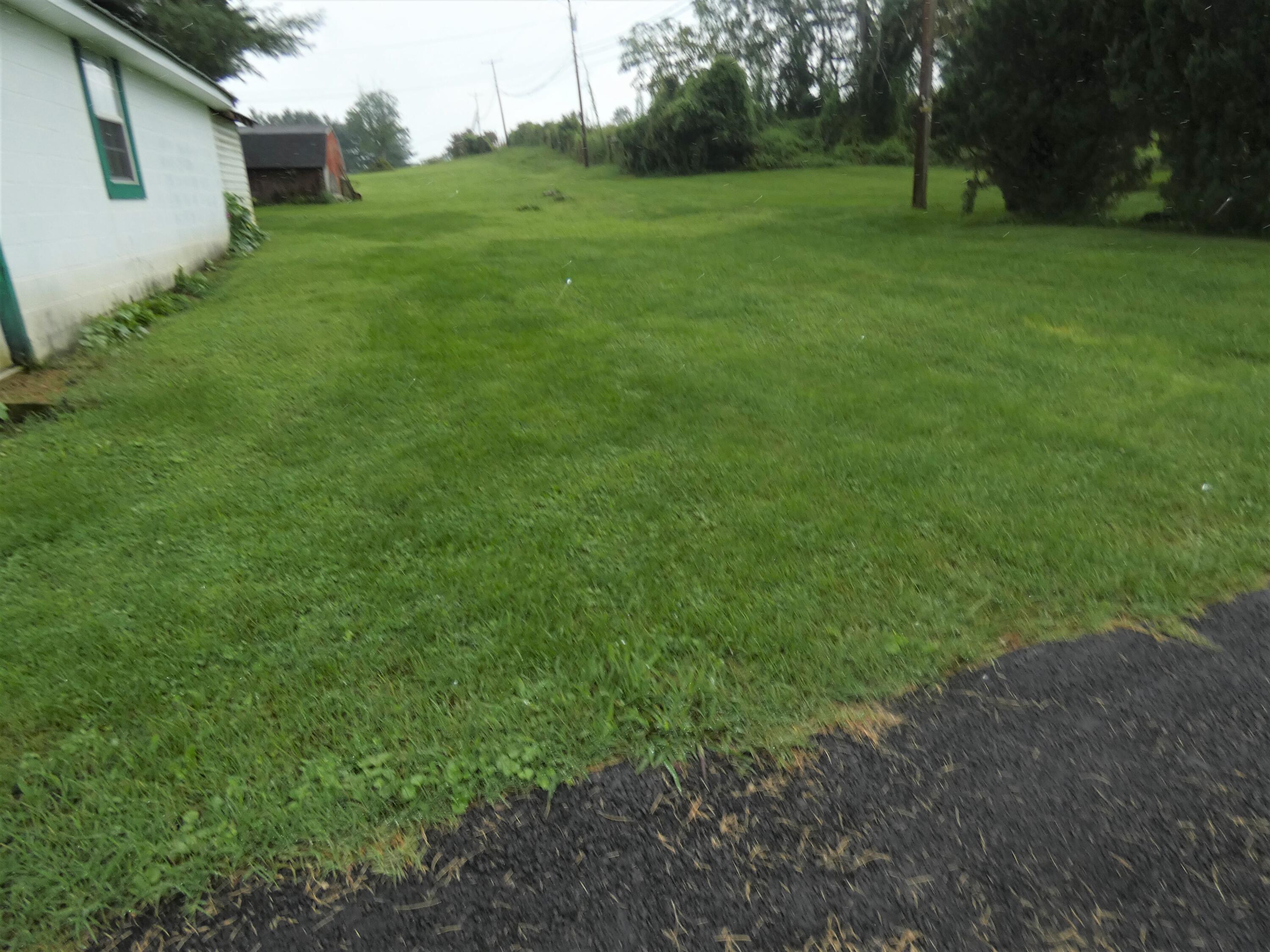 316 Grace Street Glade Spring, VA 24340 - Photo 51 of 59 P1050624 (2)