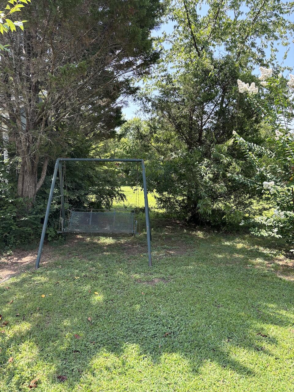 239 Hames Road Chickamauga, GA 30707 - Photo 34 of 55 outdoors 2