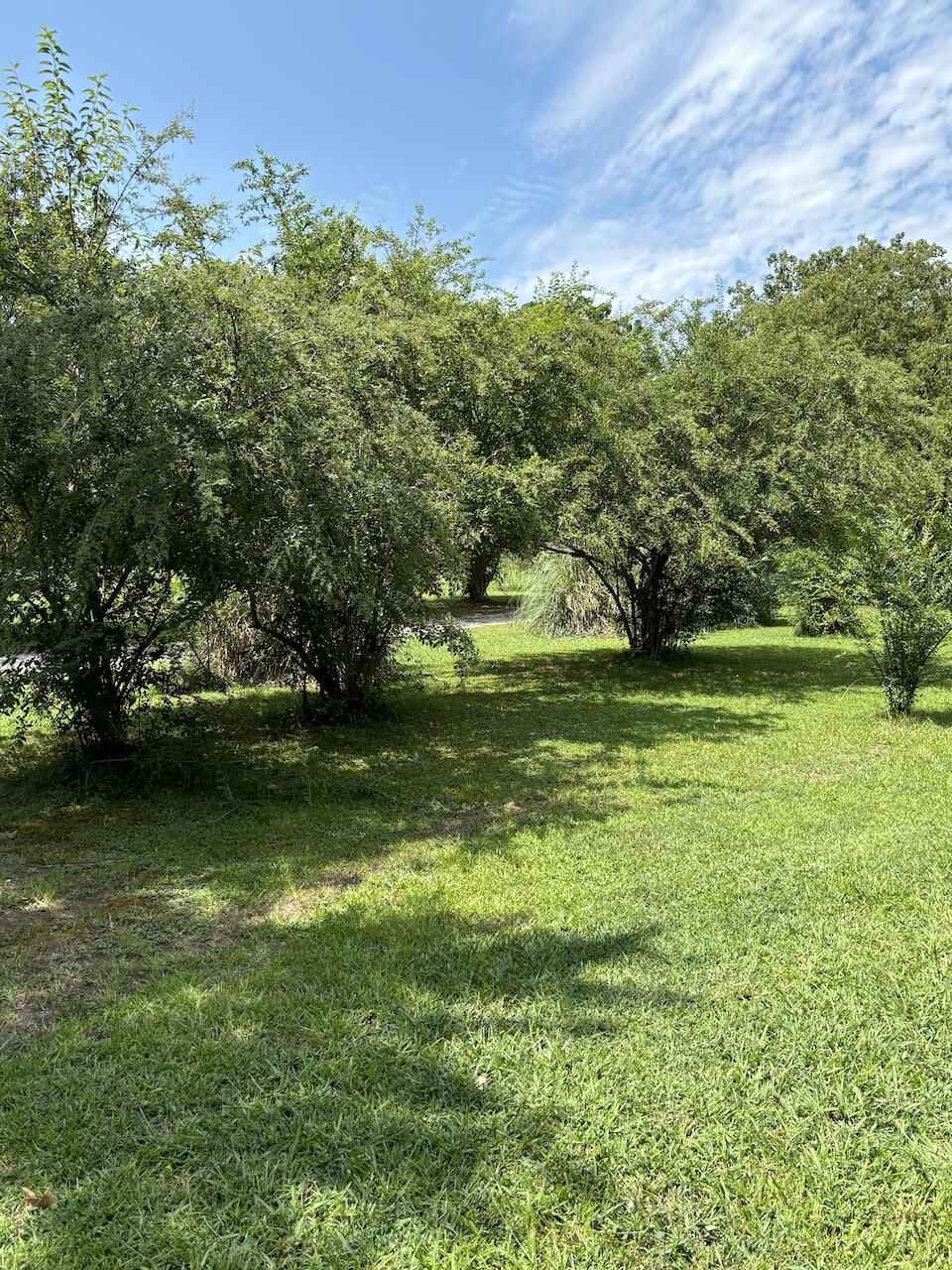 239 Hames Road Chickamauga, GA 30707 - Photo 35 of 55 outdoors 3