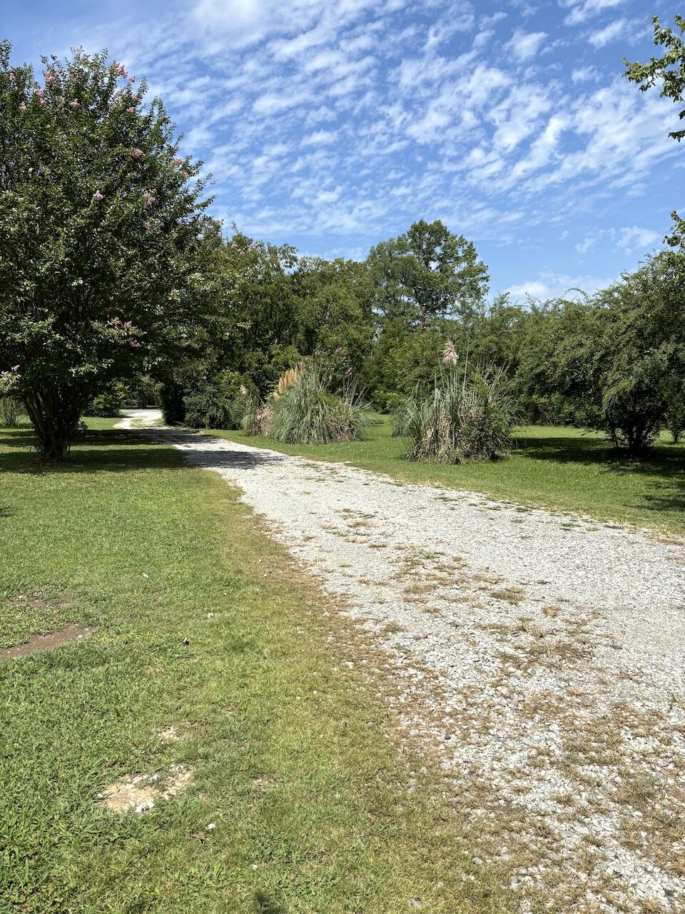 239 Hames Road Chickamauga, GA 30707 - Photo 50 of 55 Driveway 1