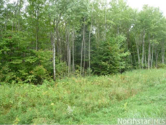 Xxx Nail Creek Road Exeland, WI 54835 - Photo 12 of 12 Gallery Image 12