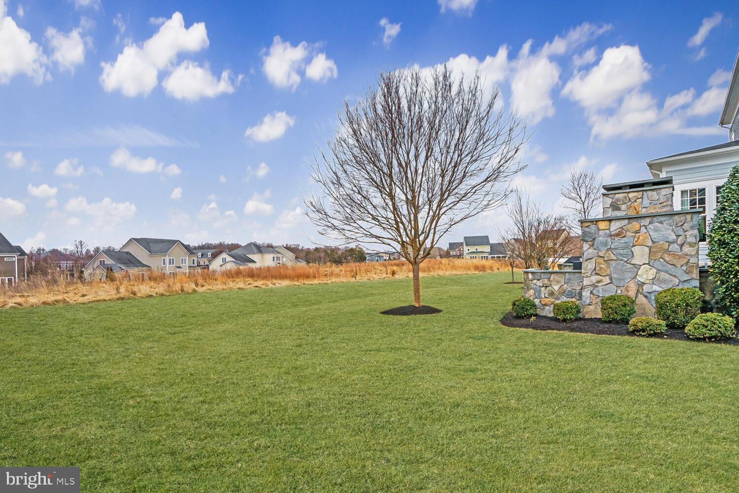41729 Bloomfield Path Street Ashburn, VA 20148 - Photo 64 of 65 a view of yard with outdoor seating