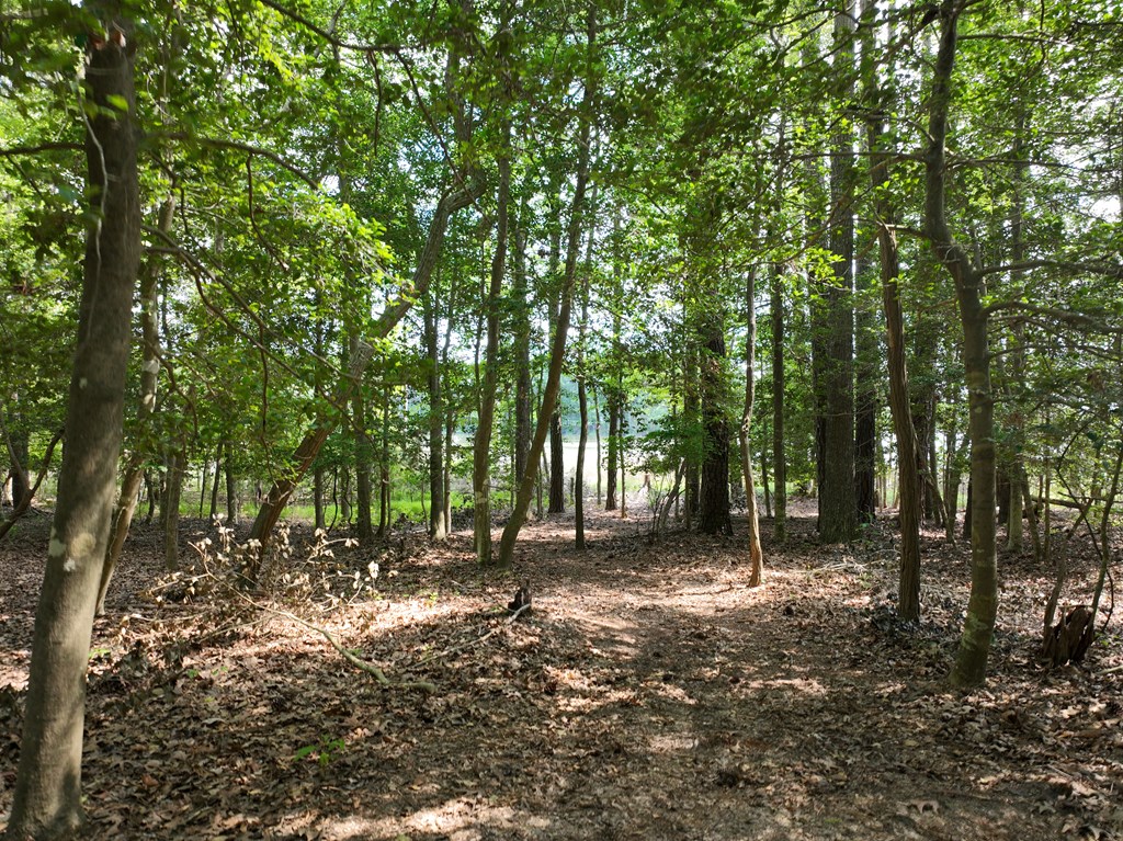 Lot 1 Mt Nebo Road, Unit 1 Onancock, VA 23417 - Photo 17 of 19
