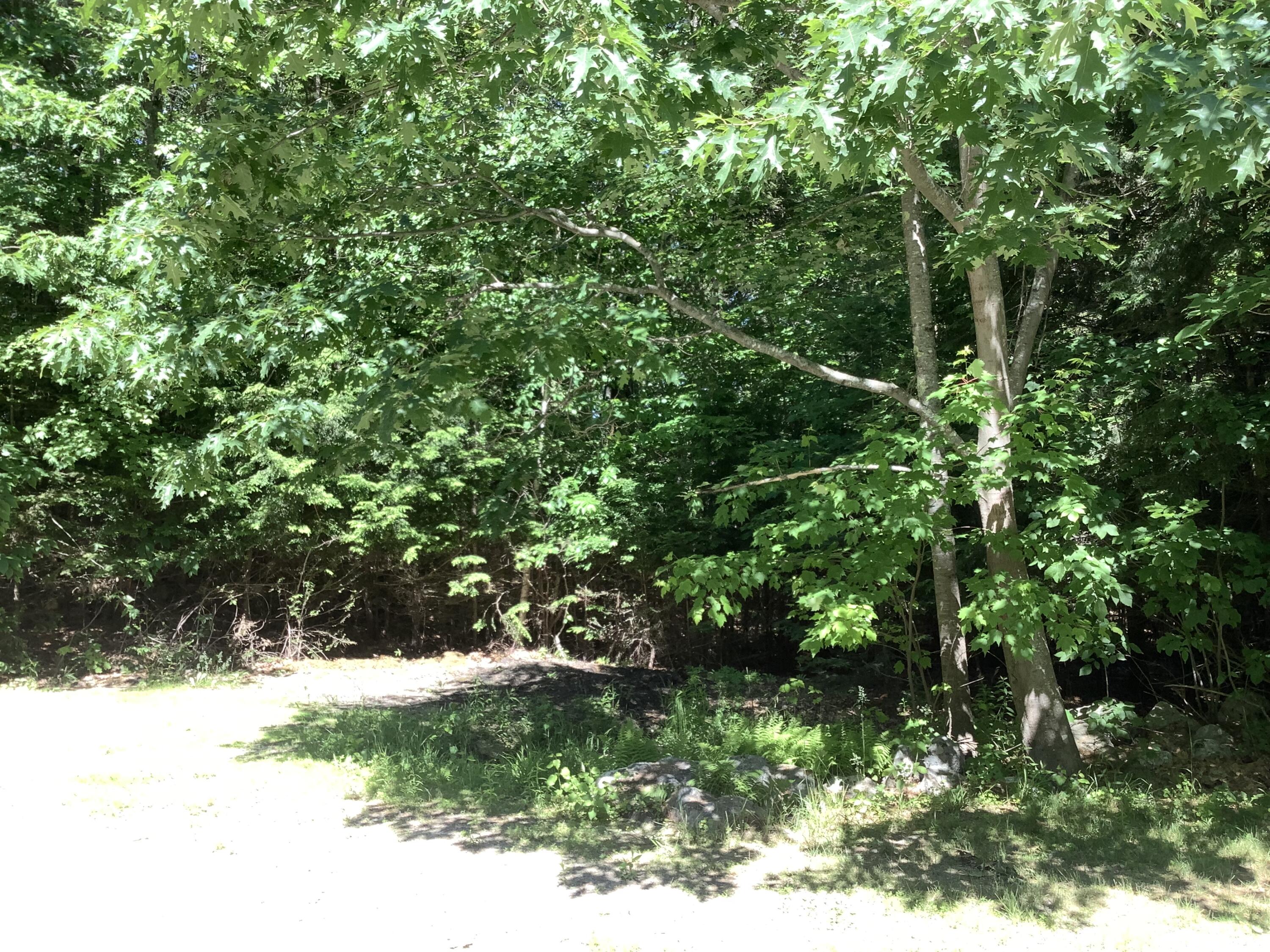 915 Alexander Reed Road Richmond, ME 04357 - Photo 8 of 83 IMG_0478