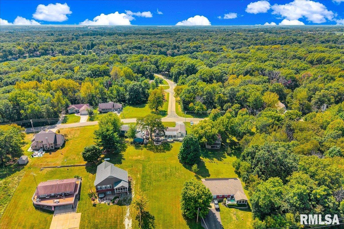 1065 Lakeview Road South Dahinda, IL 61428 - Photo 55 of 67