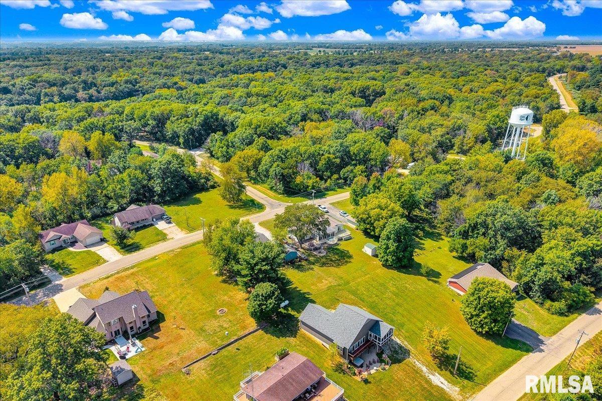 1065 Lakeview Road South Dahinda, IL 61428 - Photo 56 of 67