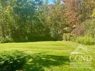 a view of a field with an ocean