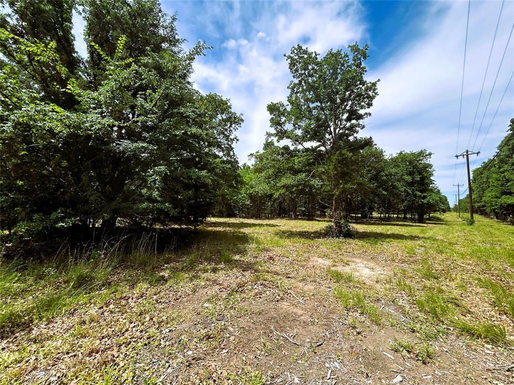 Lot 3 North Shore Road Quinlan, TX 75474 - Photo 6 of 10