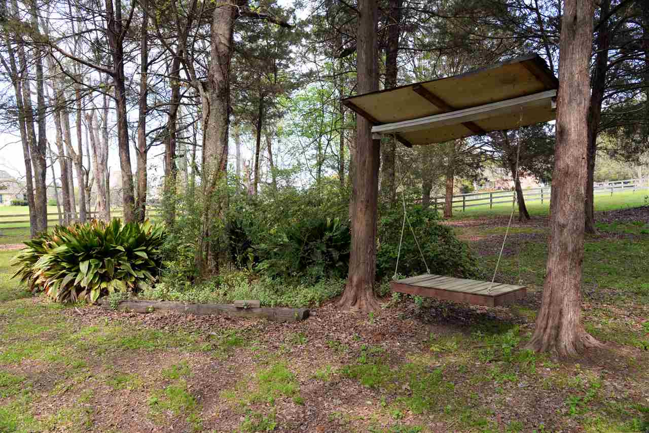 516 North Old Canton Road Madison, MS 39110 - Photo 3 of 41 Photo 3