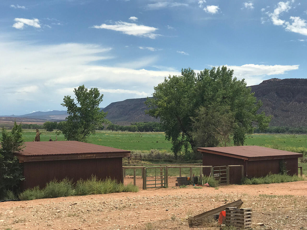 9762 X Road Bedrock, CO 81411 - Photo 5 of 8 Summer Irrigation
