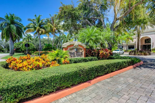 a view of a backyard with potted plants and large trees