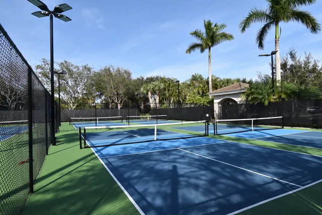 a park with lots of palm trees