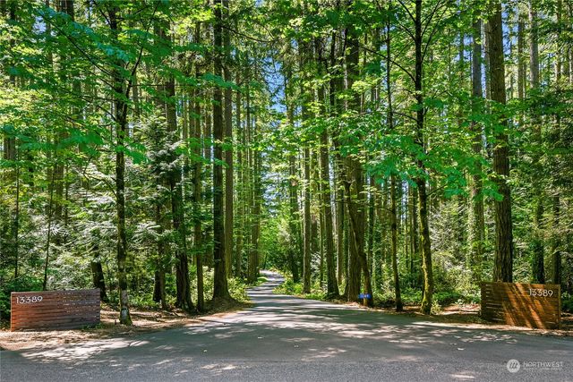 a view of a garden with plants