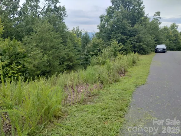 a view of a road with a yard