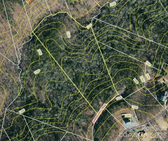 a view of a backyard with large trees