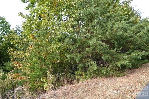 a view of a yard with plants and wooden fence