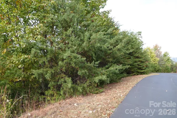 a view of a street with a trees