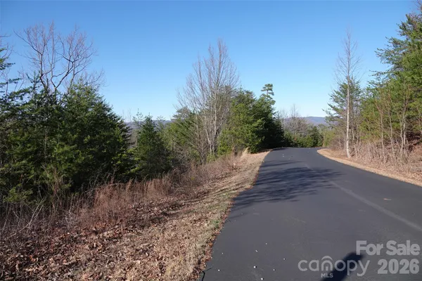 a view of a yard with plants and trees