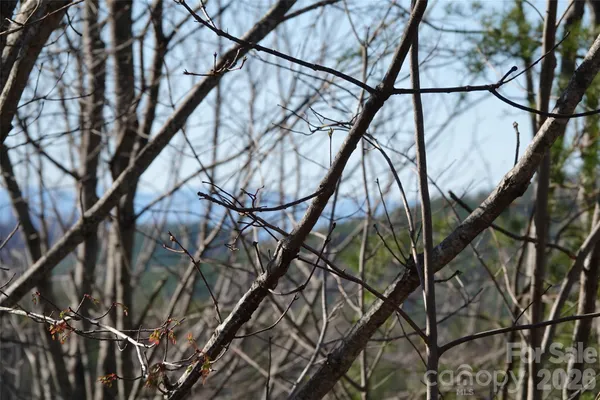 a view of a wooden house with a yard