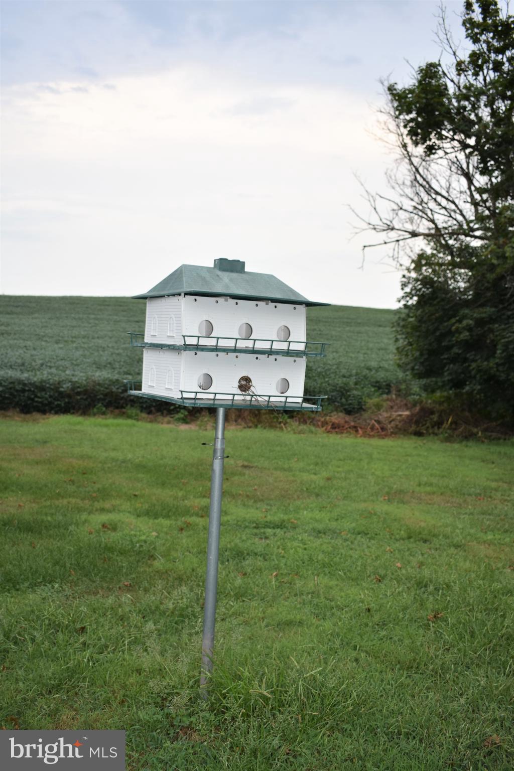 5619 A Jefferson Pike Frederick, MD 21703 - Photo 12 of 57 a view of a house with a big yard and large trees