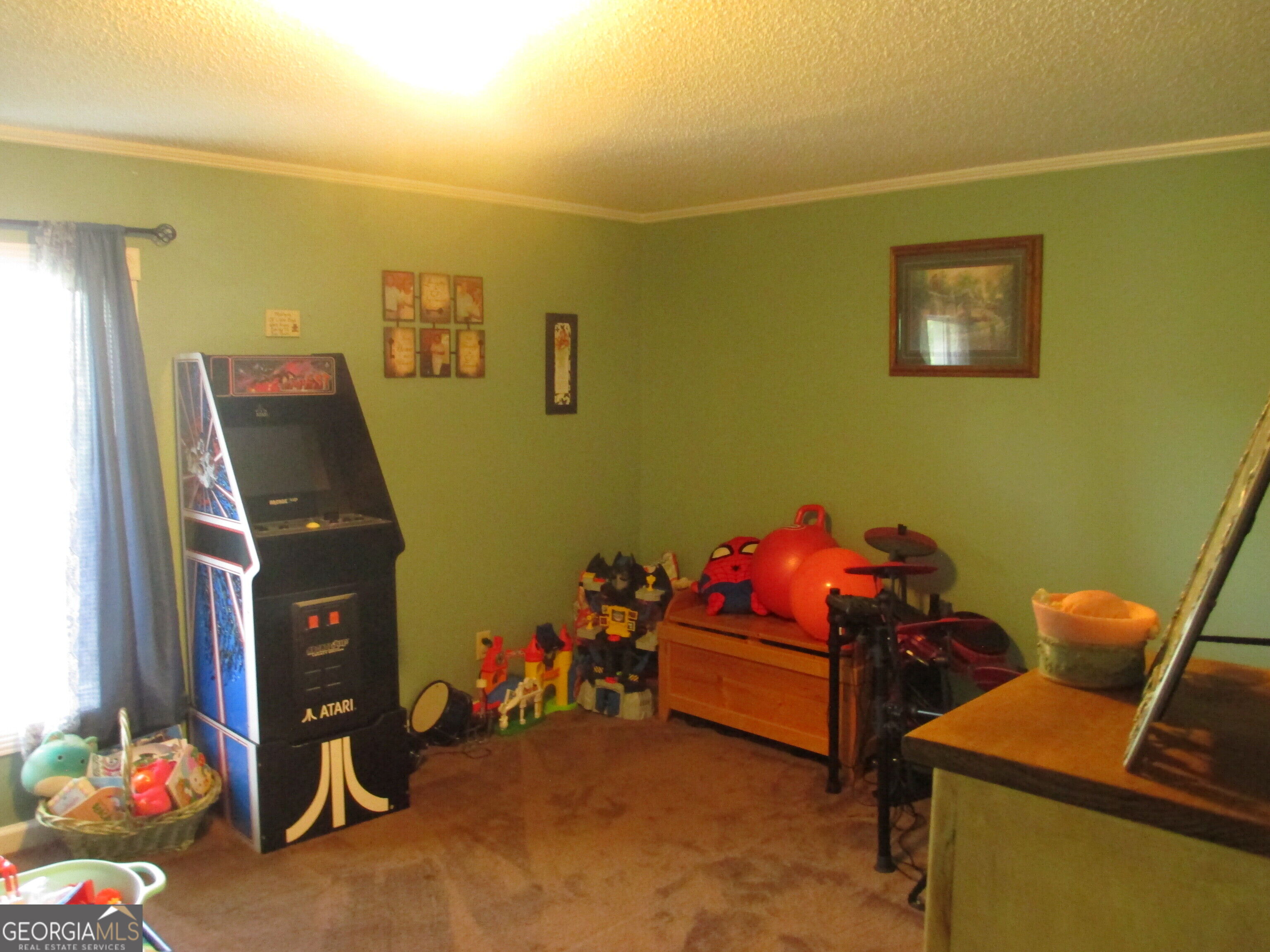 646 Foster Steadham Road Baxley, GA 31513 - Photo 17 of 48 Gallery Image 17