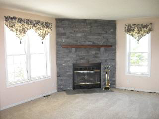 2104 East Rauch Road Erie, MI 48133 - Photo 15 of 19 Family rm fireplace