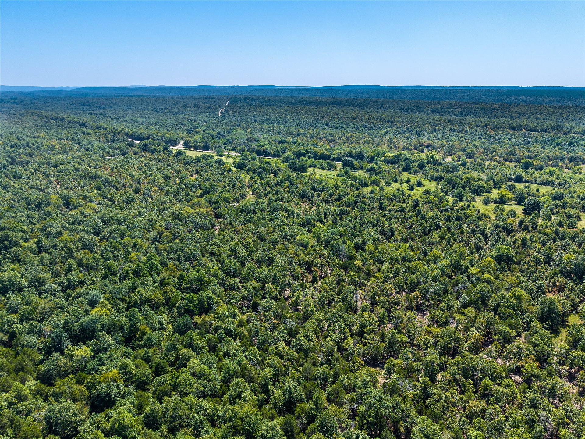 80 Cloudy Road Rattan, OK 74562 - Photo 19 of 28 Expansive wooded acreage featuring diverse tree coverage and clearings