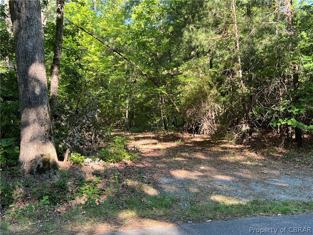 6 Mill Creek Road Wake, VA 23176 - Photo 2 of 2