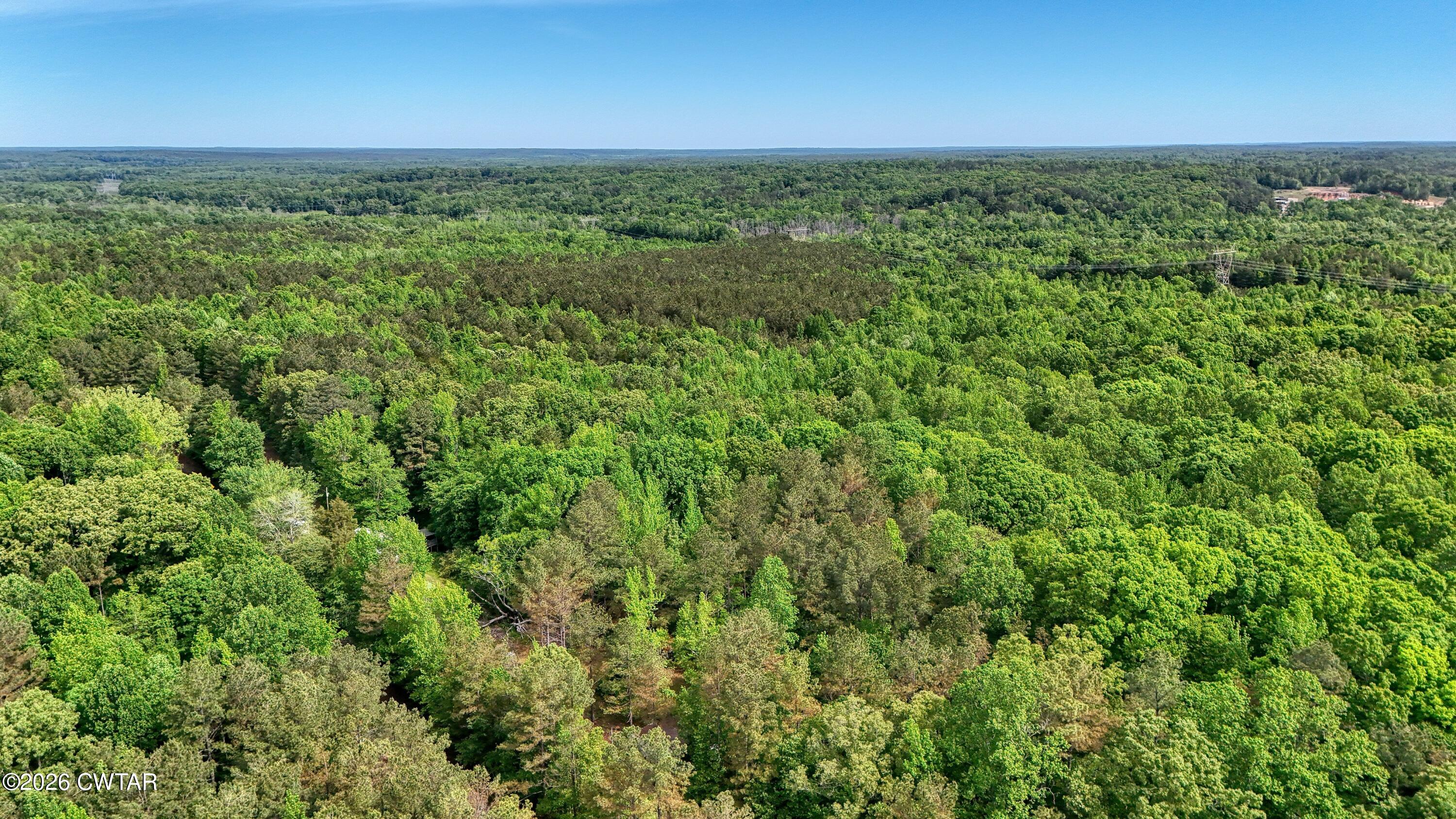 810 Sawyers Mill Road Bruceton, TN 38317 - Photo 7 of 14 a view of a green field with lots of bushes