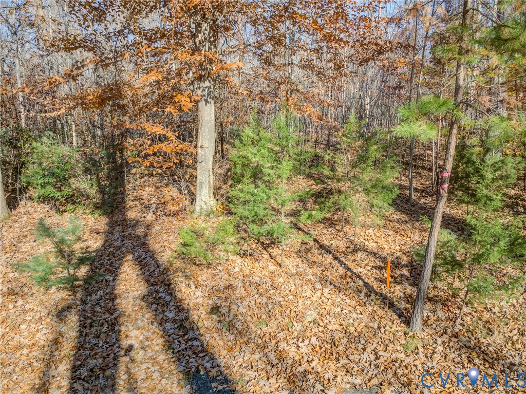 0 Porters Road Esmont, VA 22937 - Photo 6 of 27 Gallery Image 6