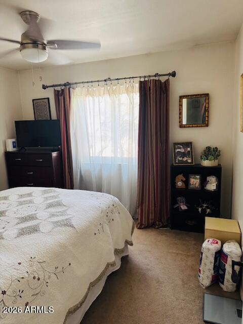 506 North Hawes Road Mesa, AZ 85207 - Photo 23 of 60 IMG_6203
