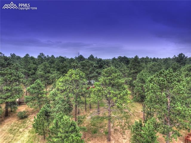 15320 Roller Coaster Road Colorado Springs, CO 80921 - Photo 2 of 36 Gallery Image 2