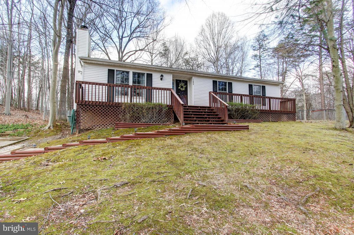 Welcome to Our Home in the Woods!