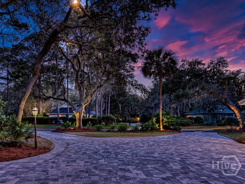 223 Yam Gandy Road Savannah, GA 31411 - Photo 3 of 51 Gallery Image 3