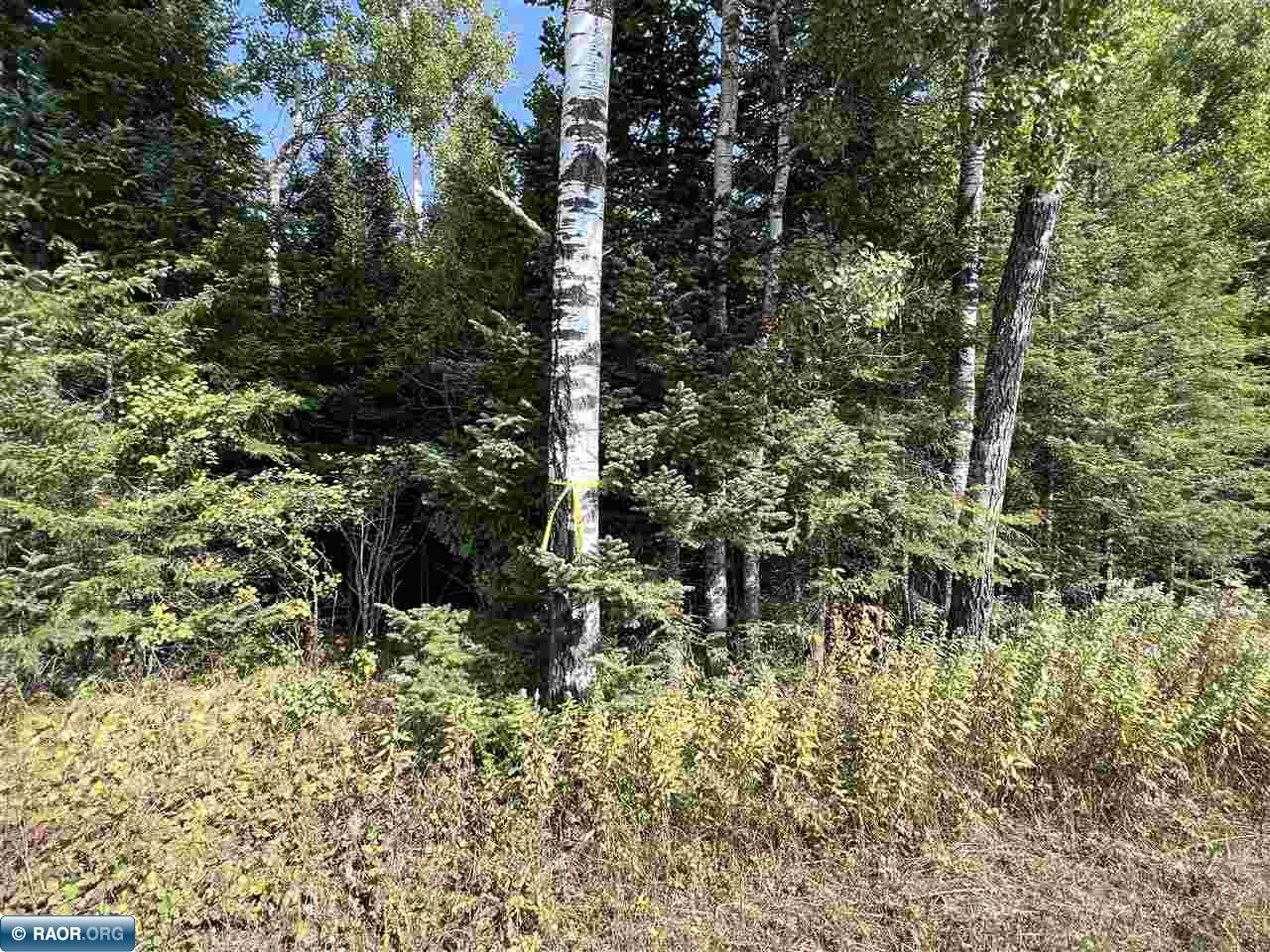 Tbd Oja Road Hibbing, MN 55746 - Photo 6 of 8 Gallery Image 6