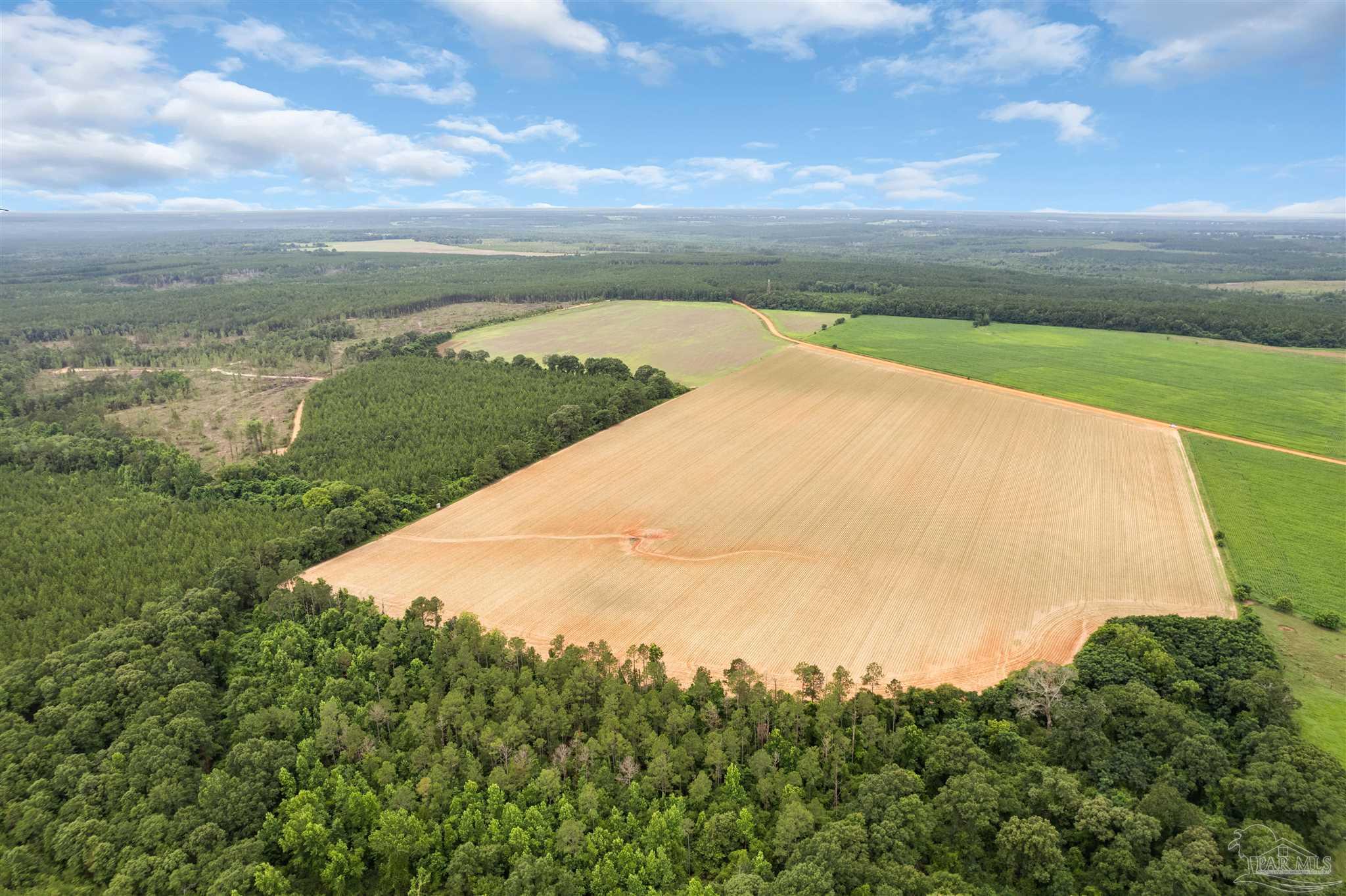 0 Old Stage Road Repton, AL 36475 - Photo 22 of 27