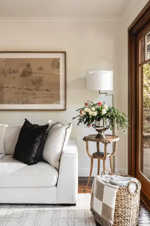 a living room with furniture and a potted plant