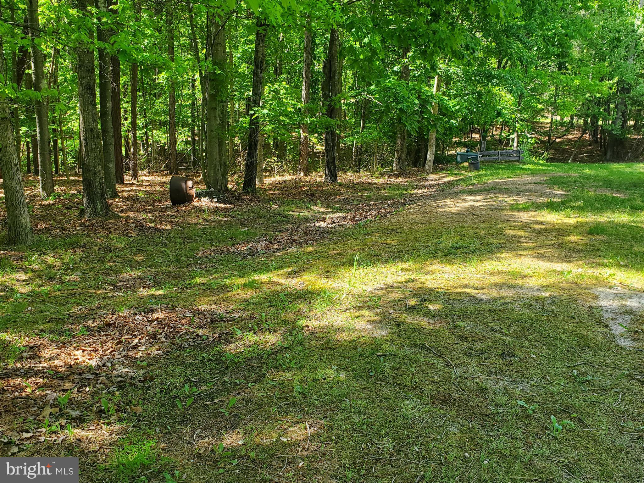 95 Red Burke Road Front Royal, VA 22630 - Photo 4 of 46 Gallery Image 4